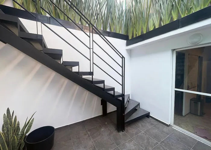 Mi Otra Casa Coyoacan