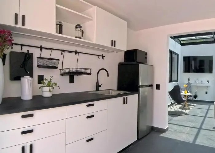 Mi Otra Casa Coyoacan Séjour chez l'habitant Mexico
