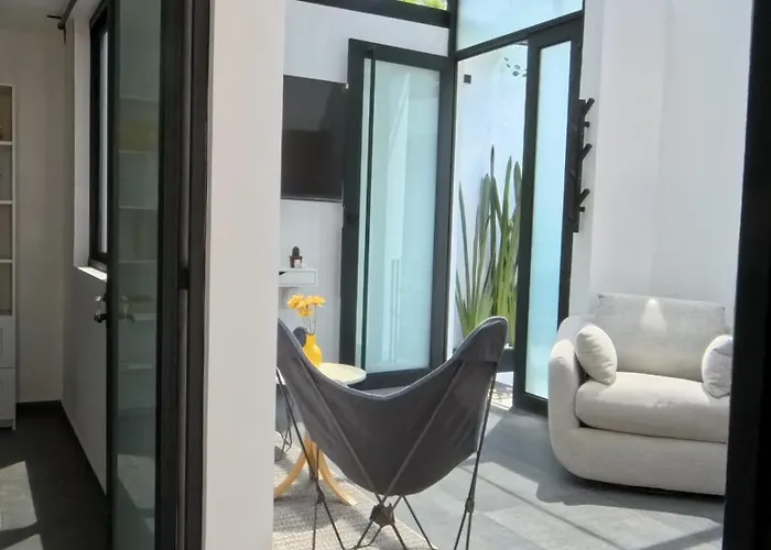 Mi Otra Casa Coyoacan Séjour chez l'habitant