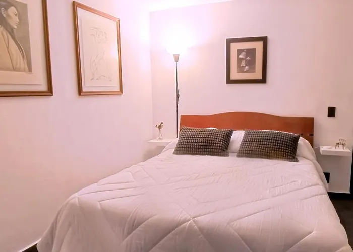 Mi Otra Casa Coyoacan Séjour chez l'habitant Mexico